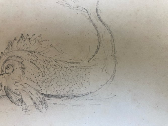 Dessin XIXe 1850 Dauphin Élément Architectural Crayon Décoration Art