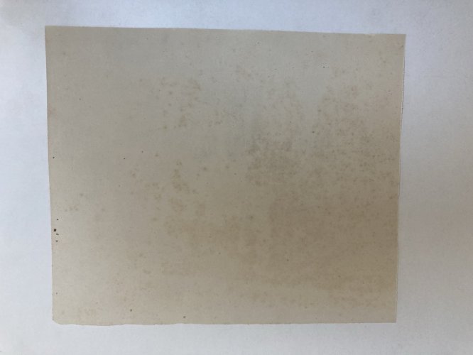 Dessin XIXe 1850 Dauphin Élément Architectural Crayon Décoration Art