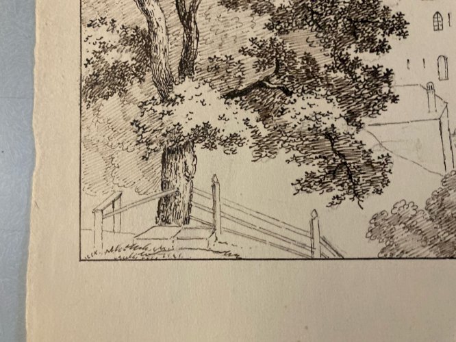 Dessin XIXe 1850 Encre A Identifier Paysage Lausanne Ancien Arbre Art