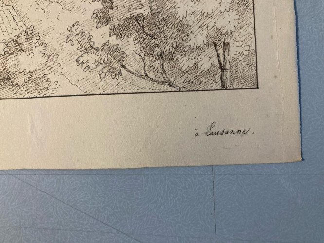 Dessin XIXe 1850 Encre A Identifier Paysage Lausanne Ancien Arbre Art
