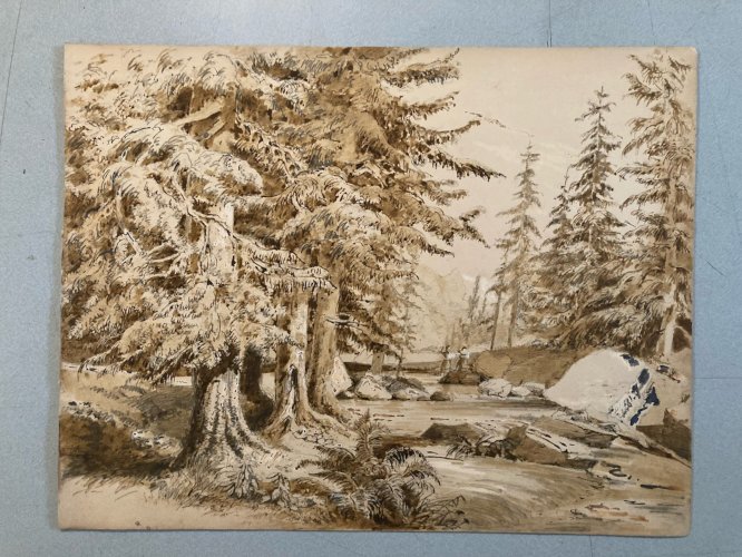 Dessin XIXe 1850 Encre Lavis Ancien Arbre Sapin Rivière Montagne Art
