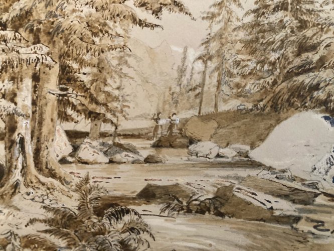 Dessin XIXe 1850 Encre Lavis Ancien Arbre Sapin Rivière Montagne Art