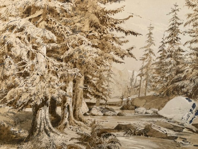 Dessin XIXe 1850 Encre Lavis Ancien Arbre Sapin Rivière Montagne Art