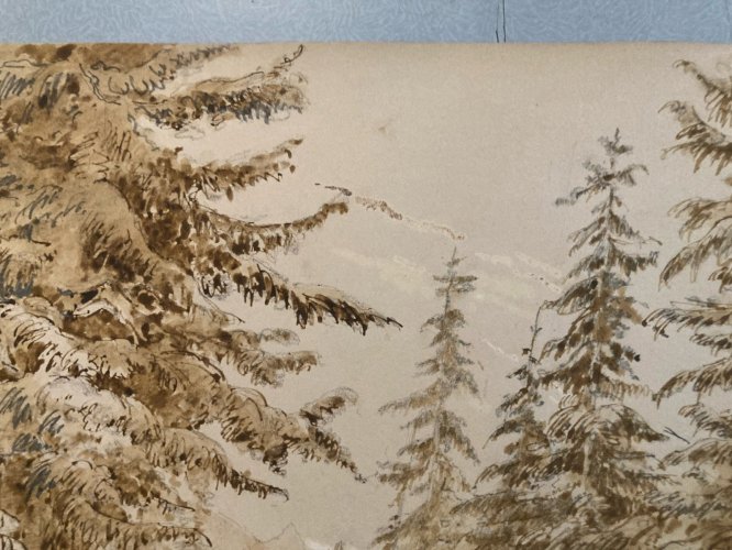 Dessin XIXe 1850 Encre Lavis Ancien Arbre Sapin Rivière Montagne Art