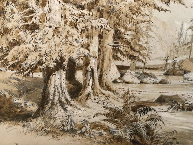 Dessin XIXe 1850 Encre Lavis Ancien Arbre Sapin Rivière Montagne Art