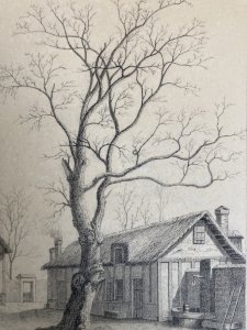 Dessin XIXe 1850 mine de plomb crayon Paysage  Ferme Poule Animal Art