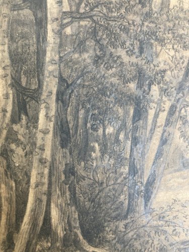 Dessin XIXe 1850 mine de plomb crayon Paysage Forêt Ancien Vache Art