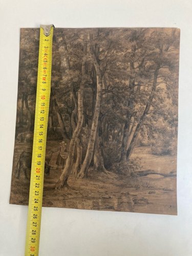 Dessin XIXe 1850 mine de plomb crayon Paysage Forêt Ancien Vache Art