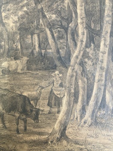 Dessin XIXe 1850 mine de plomb crayon Paysage Forêt Ancien Vache Art