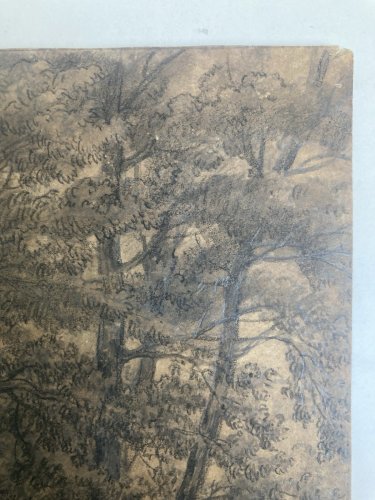Dessin XIXe 1850 mine de plomb crayon Paysage Forêt Ancien Vache Art