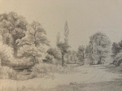 Dessin XIXe 1850 Paysage Crayon Ancien  Peinture Arbre Foret A Identifier Art