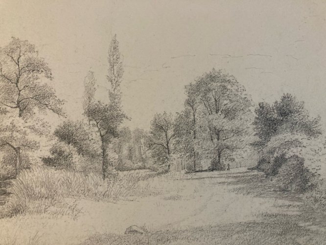 Dessin XIXe 1850 Paysage Crayon Ancien  Peinture Arbre Foret A Identifier Art