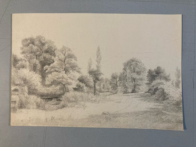 Dessin XIXe 1850 Paysage Crayon Ancien  Peinture Arbre Foret A Identifier Art