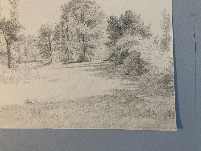 Dessin XIXe 1850 Paysage Crayon Ancien  Peinture Arbre Foret A Identifier Art