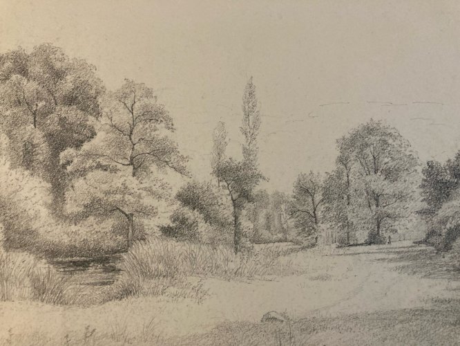 Dessin XIXe 1850 Paysage Crayon Ancien  Peinture Arbre Foret A Identifier Art