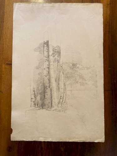 Dessin XIXe 1850 Paysage Crayon Ancien  Peinture Arbre Foret Drawing Art Tronc