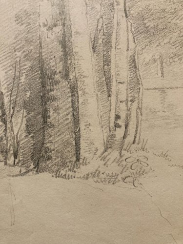 Dessin XIXe 1850 Paysage Crayon Ancien  Peinture Arbre Foret Drawing Art Tronc