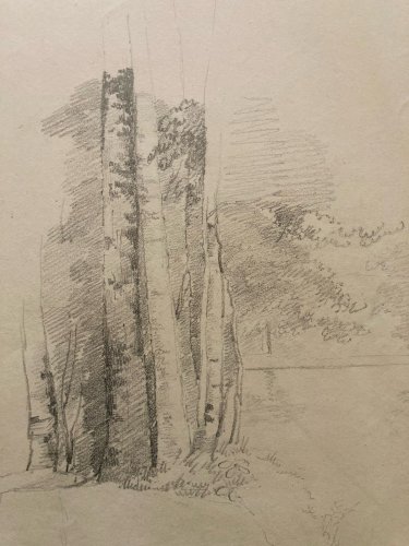 Dessin XIXe 1850 Paysage Crayon Ancien  Peinture Arbre Foret Drawing Art Tronc