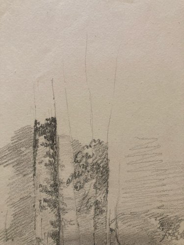 Dessin XIXe 1850 Paysage Crayon Ancien  Peinture Arbre Foret Drawing Art Tronc
