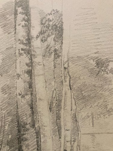Dessin XIXe 1850 Paysage Crayon Ancien  Peinture Arbre Foret Drawing Art Tronc