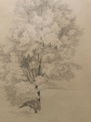 Dessin XIXe 1850 Paysage Crayon Ancien  Peinture Arbre Foret Drawing Tronc Art