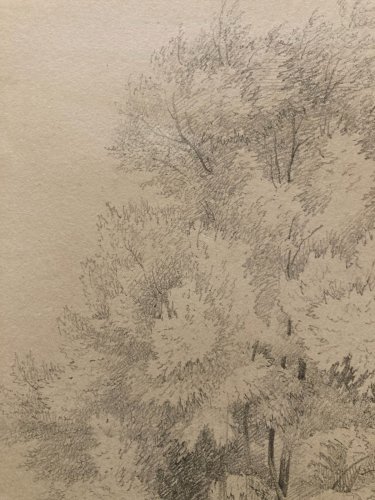 Dessin XIXe 1850 Paysage Crayon Ancien  Peinture Arbre Foret Drawing Tronc Art