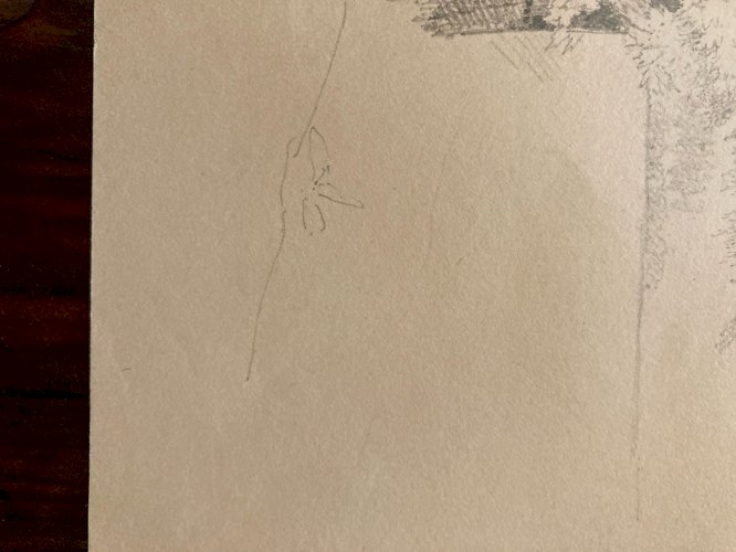 Dessin XIXe 1850 Paysage Crayon Ancien  Peinture Arbre Foret Drawing Tronc Art