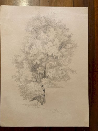 Dessin XIXe 1850 Paysage Crayon Ancien  Peinture Arbre Foret Drawing Tronc Art