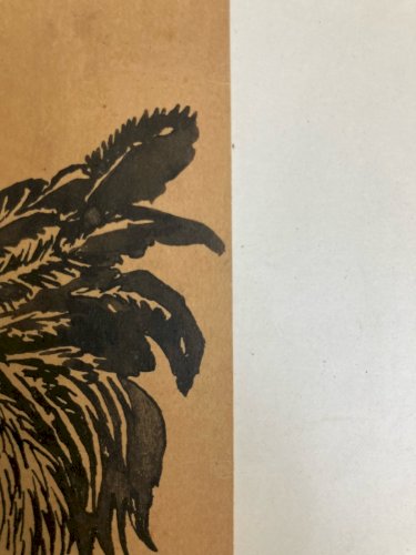 Dessin XIXe Coq Poule Animal Animaux Ancien Encre Peinture A Identifier Art