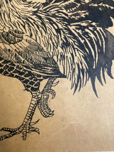 Dessin XIXe Coq Poule Animal Animaux Ancien Encre Peinture A Identifier Art