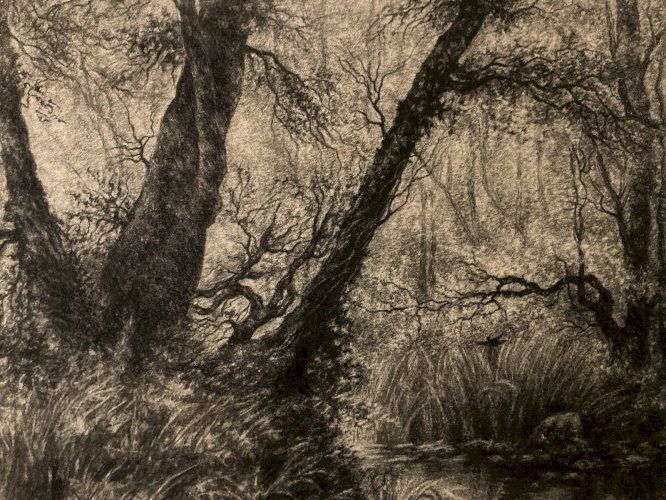 Dessin XIXe Peinture Papier Paysage Fusain A Identifier Forêt Barbizon Art