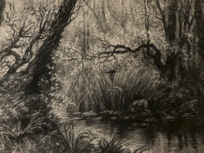 Dessin XIXe Peinture Papier Paysage Fusain A Identifier Forêt Barbizon Art