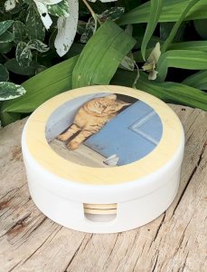 Dessous de verre vintage motifs chat