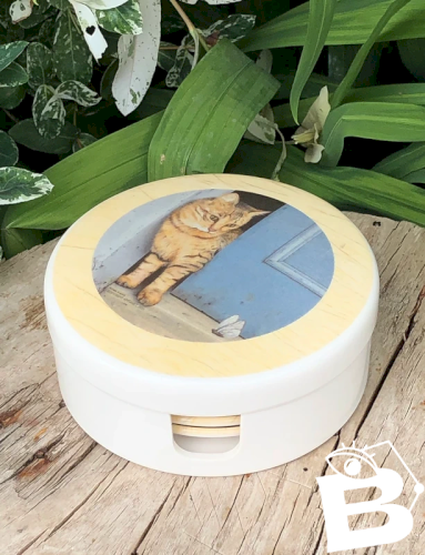 Dessous de verre vintage motifs chat