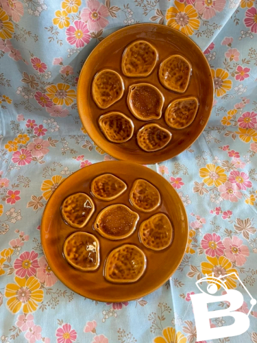 Deux assiettes à huîtres