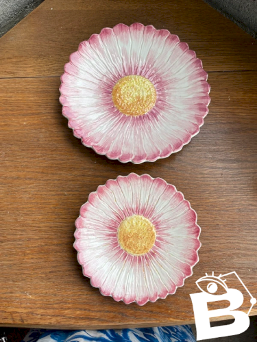 Deux plats fleurs