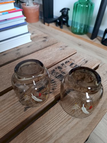 Deux verres vintage fumés décor blés 