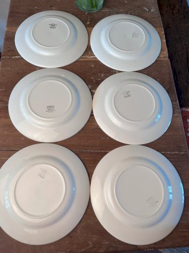Digoin Sarreguemines modèle Silvia 2x6 assiettes et 1 plat