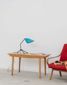 Donna, the wooden coffee table No. 411