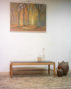 Donna, the wooden coffee table No. 490