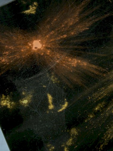 Donna, la table basse en verre N°122