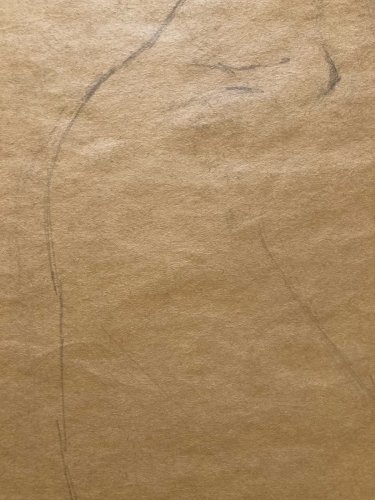 Drawing Dessin Crayon Portrait Buste Femme Expressionniste Expressionnisme 1920
