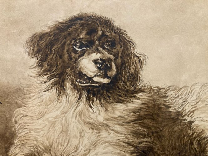 Drawing Dessin Lavis Encre Sur Papier XIXe  1850 Animaux Animal Chien Art Old