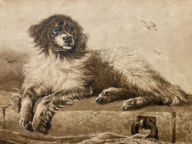Drawing Dessin Lavis Encre Sur Papier XIXe  1850 Animaux Animal Chien Art Old