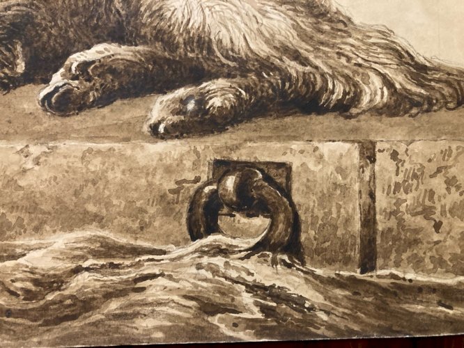 Drawing Dessin Lavis Encre Sur Papier XIXe  1850 Animaux Animal Chien Art Old