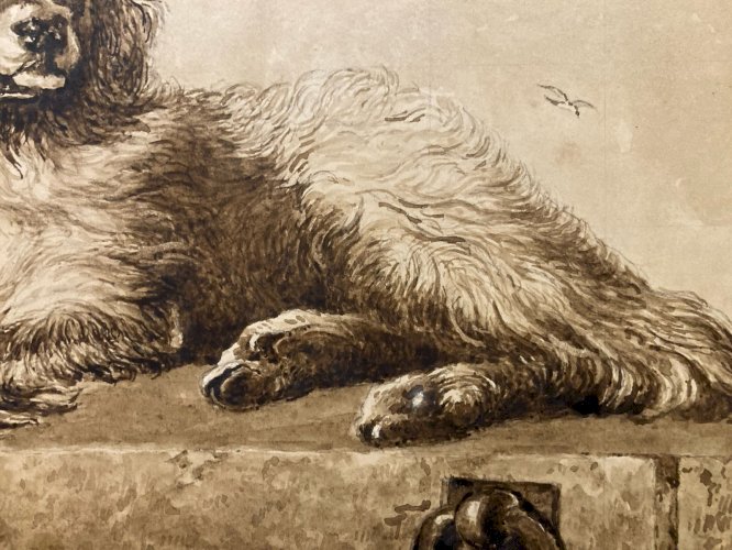 Drawing Dessin Lavis Encre Sur Papier XIXe  1850 Animaux Animal Chien Art Old