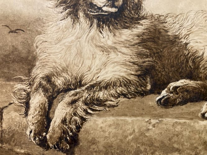 Drawing Dessin Lavis Encre Sur Papier XIXe  1850 Animaux Animal Chien Art Old