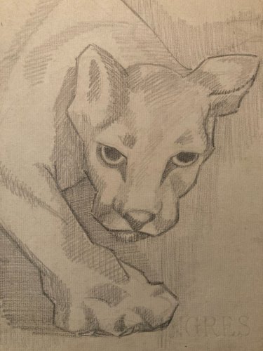 Drawing dessin Lion Félin Cubiste Cubisme Ancien 1950 A Identifier Animal Old