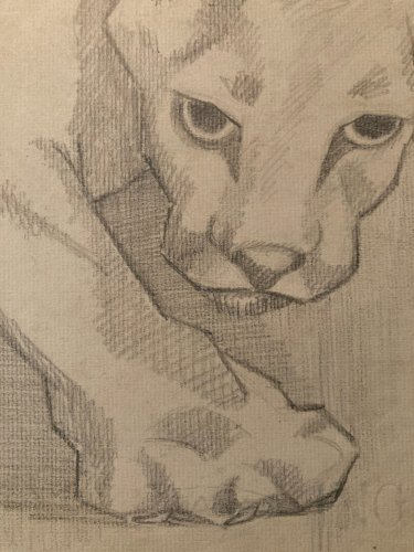 Drawing dessin Lion Félin Cubiste Cubisme Ancien 1950 A Identifier Animal Old