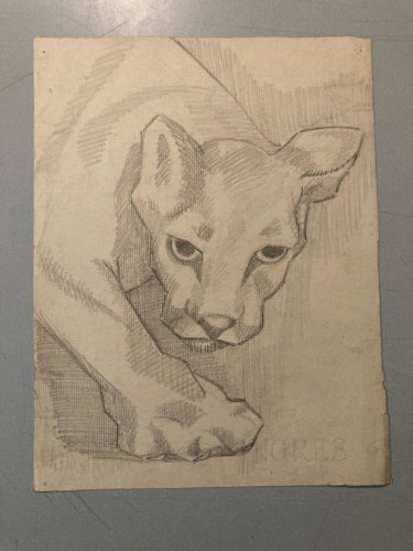 Drawing dessin Lion Félin Cubiste Cubisme Ancien 1950 A Identifier Animal Old